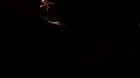 172ndord online show from December 22, 12:06 am