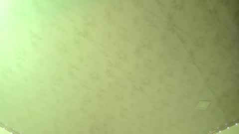 Adam and Venus online show from March 8, 12:33 am