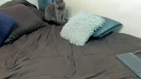 Adam and Venus online show from September 28, 11:36 pm