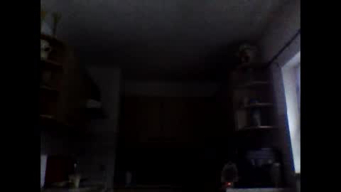 20x5cmgermanlongdong online show from February 21, 7:00 am