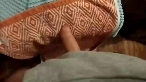 Davie smith2140 online show from November 17, 2:14 am