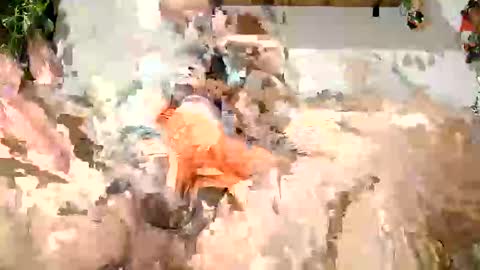 3duard0 online show from October 3, 1:04 am