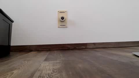 Steven online show from January 13, 11:07 am