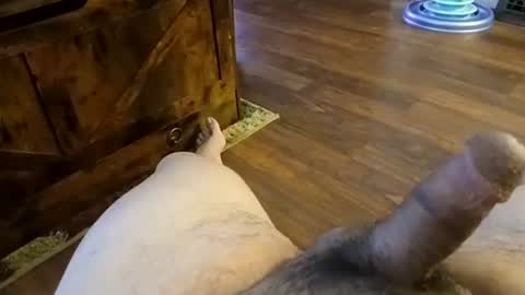 5tone_bon3 online show from January 20, 7:04 am