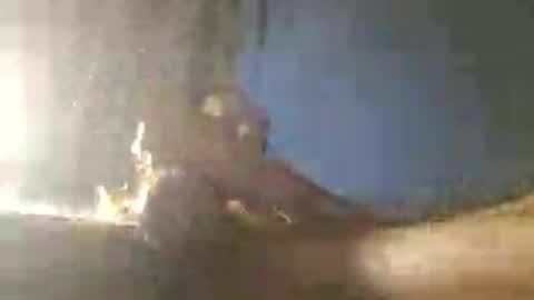 Zeus online show from June 29, 8:22 am