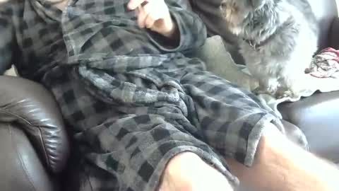 66bear online show from December 25, 4:43 pm