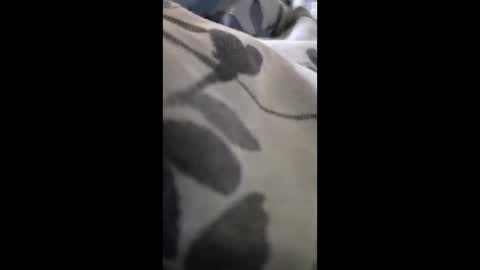 69angel96 online show from June 1, 10:44 pm