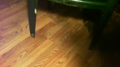 69forever453443 online show from November 12, 10:01 pm