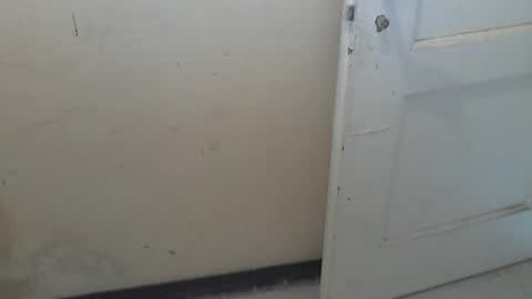 Snapshot of 69pifpaf chatting on February 28, 10:20 am 69pifpaf online show from February 28, 10:20 am