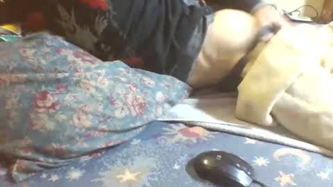 69sextoyboy69 online show from February 1, 3:09 pm