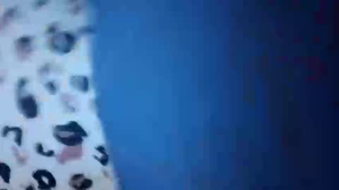 69tara88 online show from February 7, 1:03 pm