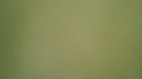 SINN3R online show from September 13, 6:43 pm