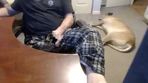 MASTIFF online show from December 21, 7:31 pm