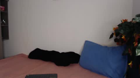 _abrill_20 online show from November 15, 1:29 am