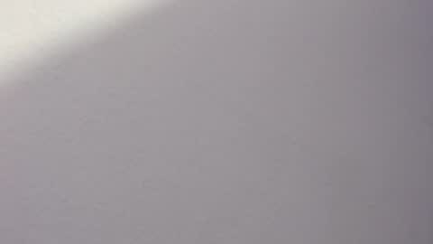 _bonnie__and_clyde online show from April 11, 9:30 pm