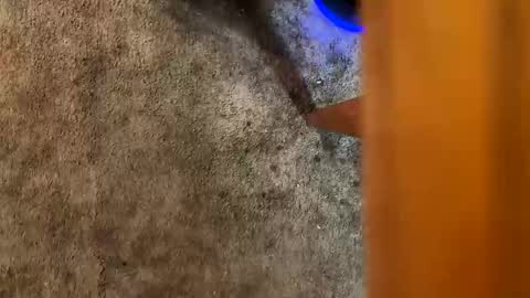 Drizzy online show from October 3, 3:04 am