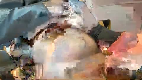 Ginger boy online show from February 9, 10:20 am