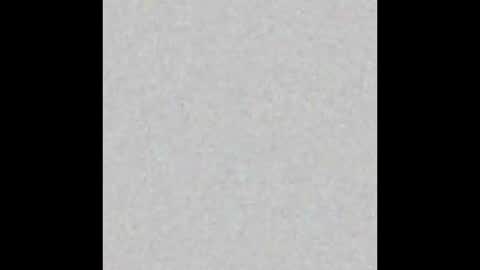 Im Jax online show from November 2, 10:32 pm