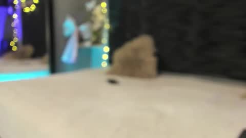 _lustyles_ online show from December 15, 7:15 am