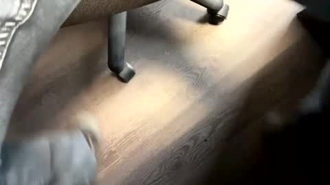 _peterson_ online show from December 4, 3:04 pm