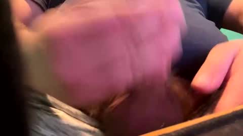 _peterson_ online show from January 15, 10:24 pm