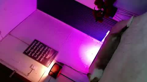 Eilachloe online show from November 21, 1:09 pm