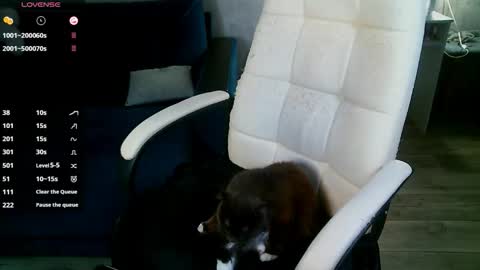 Milana   welcome to my world  online show from November 13, 12:19 pm