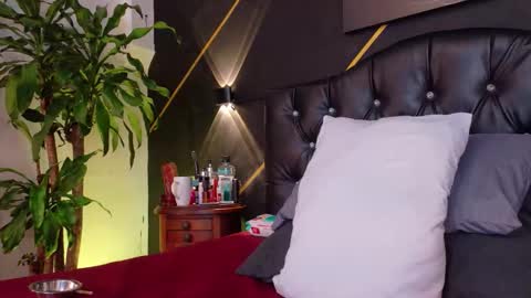 _tarek_ online show from November 29, 5:37 am