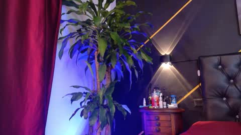 _tarek_ online show from November 30, 8:16 pm