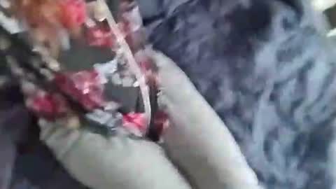 Bree Anna online show from November 9, 7:38 pm