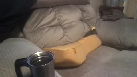 abe_froman2007 online show from January 19, 4:33 am