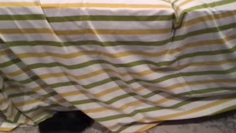 abe_froman2007 online show from February 11, 7:23 am