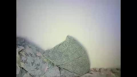 GoldenFish online show from February 22, 11:46 pm