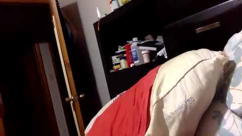 Abiwasabi123 online show from February 20, 4:01 am