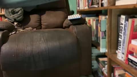 aCACiAs2022 online show from March 4, 4:26 pm