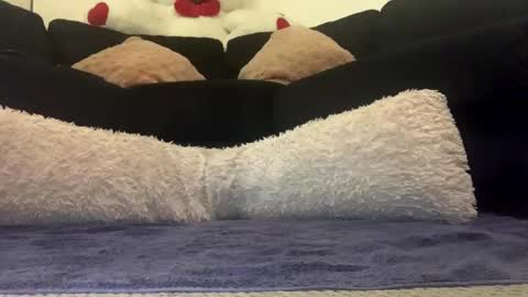 ENIGMA TZX5114 online show from March 10, 11:23 am