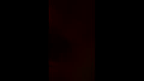 adamllamas online show from April 19, 7:20 am