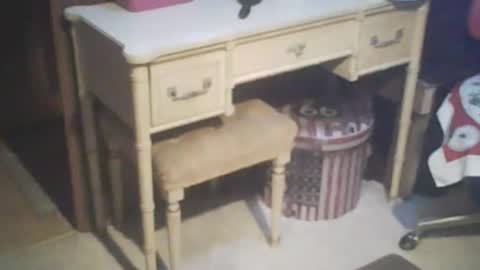 adamsny online show from February 21, 7:56 am