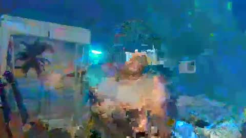 Adonis XDDDDDDDD Woody online show from December 31, 12:32 am