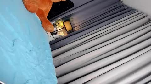 Adriana online show from March 4, 10:57 am