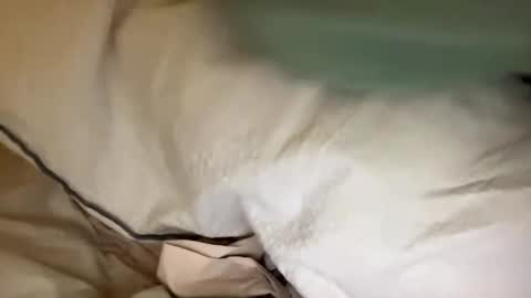 adriiiii online show from January 24, 8:11 pm