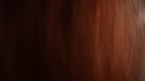 Adrit online show from April 18, 7:07 pm