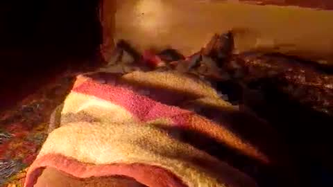 ahmadmughall0077 online show from February 15, 11:14 pm