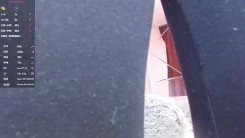 aidasina online show from December 14, 8:04 pm