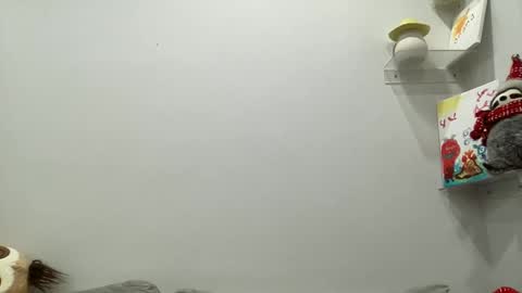 Aile online show from December 29, 3:54 am