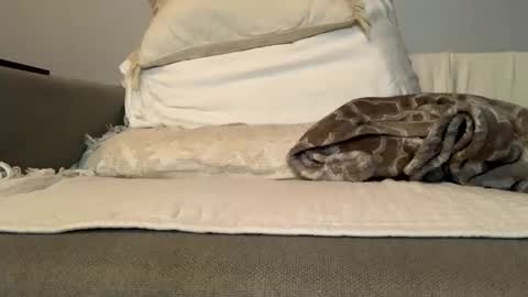 canadianboy92 online show from November 27, 3:47 am