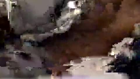 aj297914 online show from December 20, 7:59 am