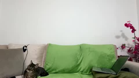 alejo__twinkboy online show from January 30, 8:11 am