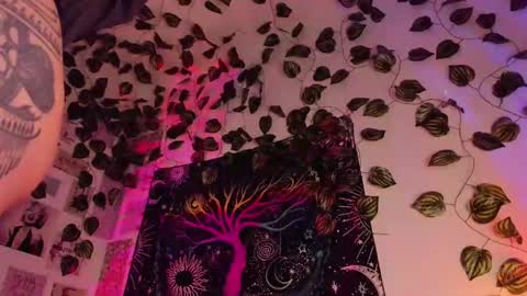 Alex online show from January 24, 10:53 am