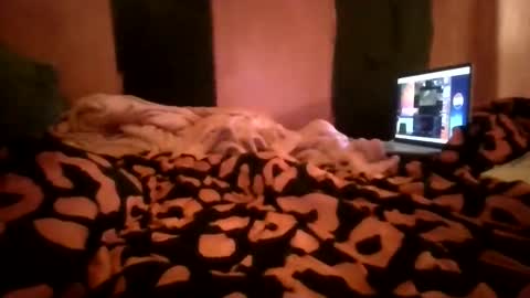 AlexaJohnsontwitter online show from April 30, 7:24 am